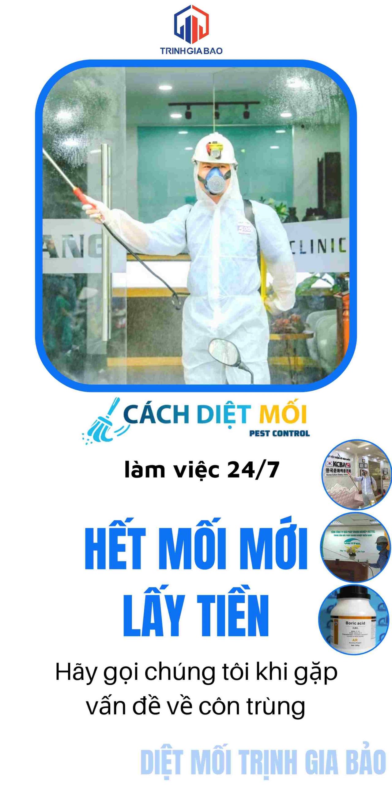 Dịch vụ diệt mối tại cachdietmoi.vn