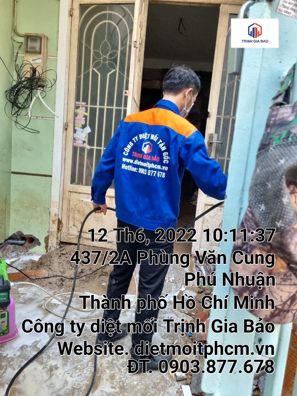 Quy trình diệt mối tại quận Phú Nhuận an toàn của Cachdietmoi.vn